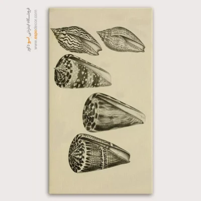 تابلو جانوران دریایی - اسپو دکور