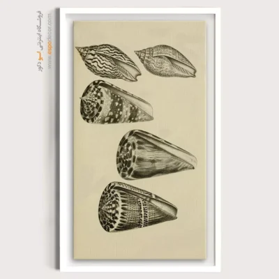 تابلو جانوران دریایی - اسپو دکور