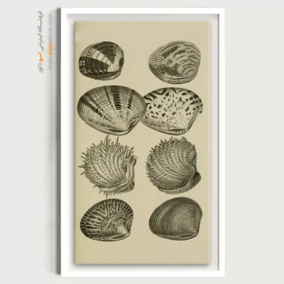 تابلو جانوران دریایی - اسپو دکور