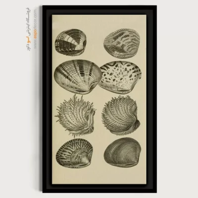 تابلو جانوران دریایی - اسپو دکور