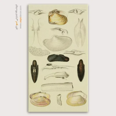 تابلو جانوران دریایی - اسپو دکور