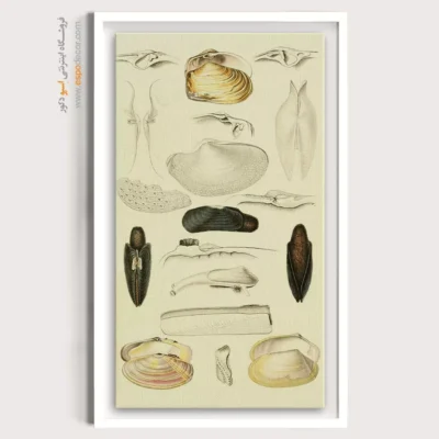 تابلو جانوران دریایی - اسپو دکور