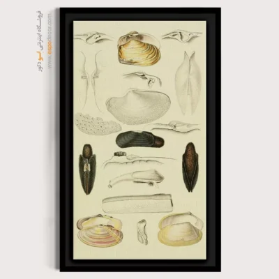 تابلو جانوران دریایی - اسپو دکور