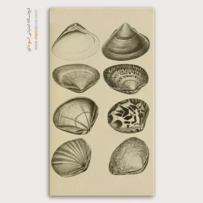 تابلو جانوران دریایی - اسپو دکور