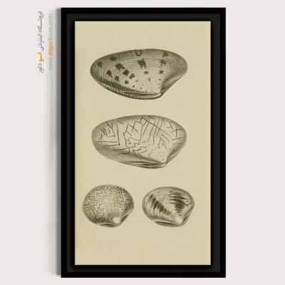 تابلو جانوران دریایی - اسپو دکور