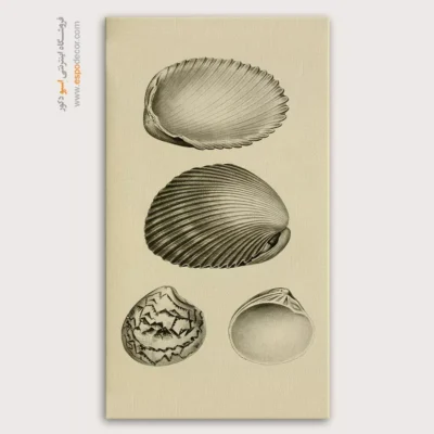 تابلو جانوران دریایی - اسپو دکور