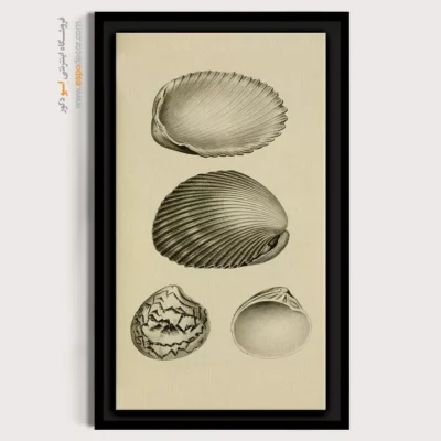 تابلو جانوران دریایی - اسپو دکور