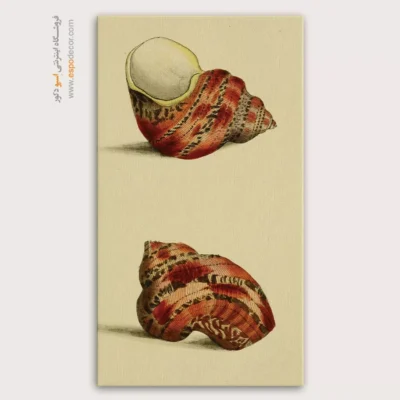 تابلو جانوران دریایی - اسپو دکور