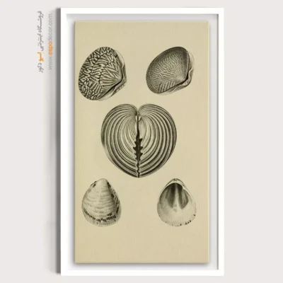 تابلو جانوران دریایی - اسپو دکور