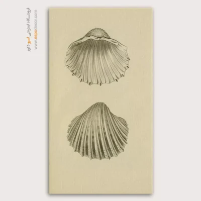 تابلو جانوران دریایی - اسپو دکور