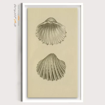 تابلو جانوران دریایی - اسپو دکور