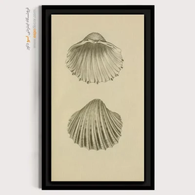 تابلو جانوران دریایی - اسپو دکور