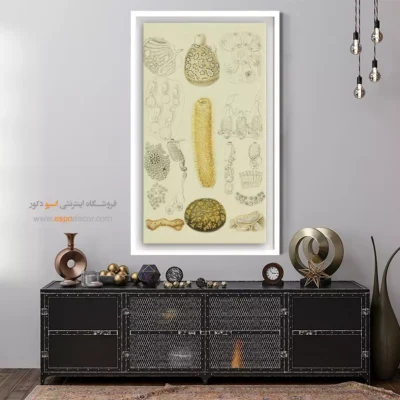 تابلو جانوران دریایی - اسپو دکور