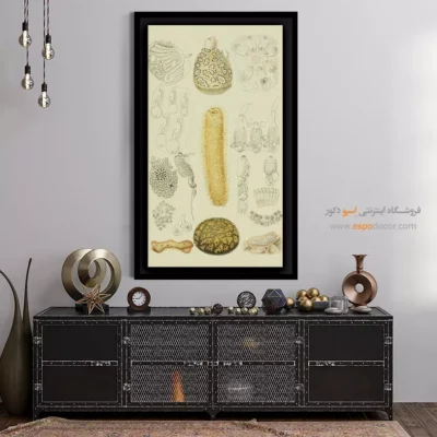 تابلو جانوران دریایی - اسپو دکور