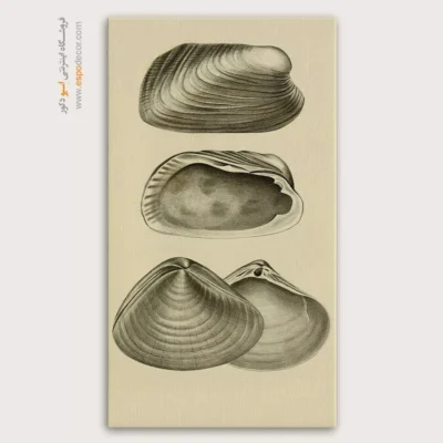 تابلو جانوران دریایی - اسپو دکور