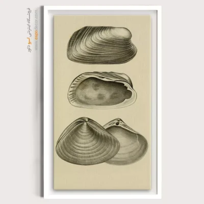 تابلو جانوران دریایی - اسپو دکور