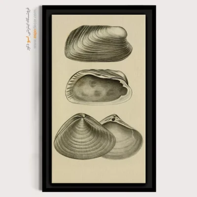 تابلو جانوران دریایی - اسپو دکور