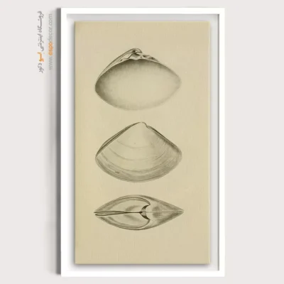 تابلو جانوران دریایی - اسپو دکور