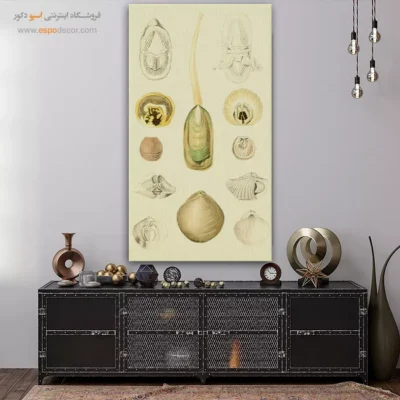 تابلو جانوران دریایی - اسپو دکور