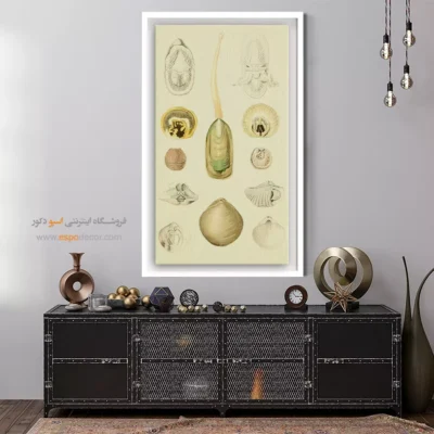 تابلو جانوران دریایی - اسپو دکور