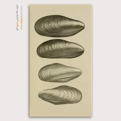 تابلو جانوران دریایی - اسپو دکور