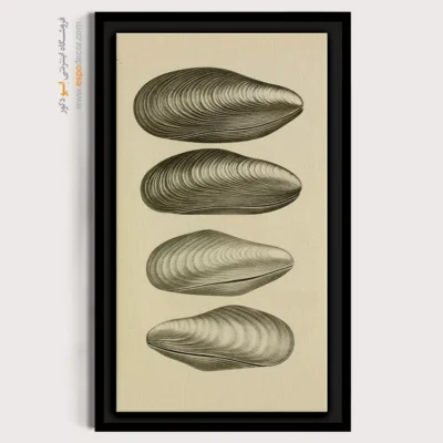 تابلو جانوران دریایی - اسپو دکور