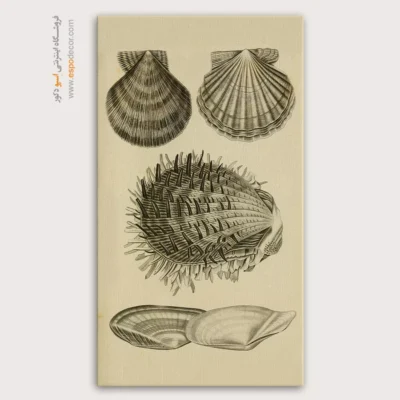 تابلو جانوران دریایی - اسپو دکور