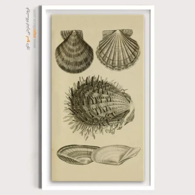 تابلو جانوران دریایی - اسپو دکور