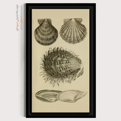 تابلو جانوران دریایی - اسپو دکور