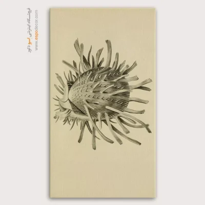 تابلو جانوران دریایی - اسپو دکور