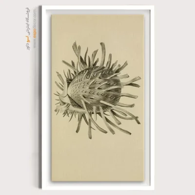 تابلو جانوران دریایی - اسپو دکور