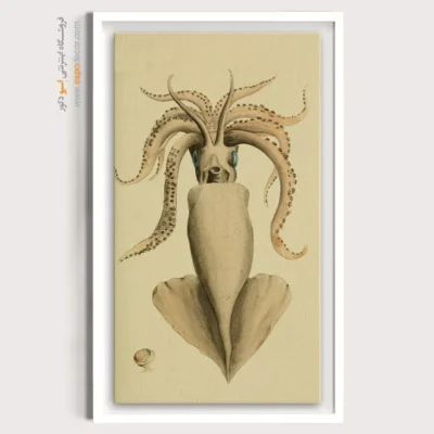 تابلو جانوران دریایی - اسپو دکور