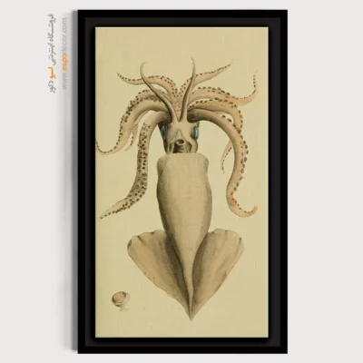 تابلو جانوران دریایی - اسپو دکور