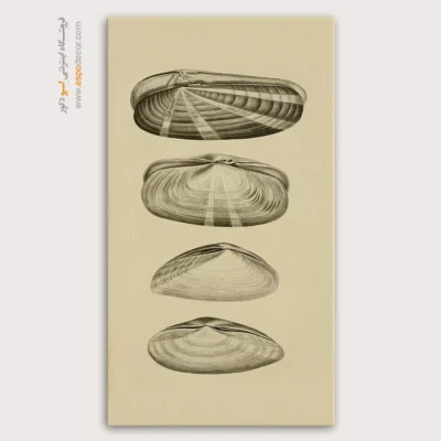 تابلو جانوران دریایی - اسپو دکور