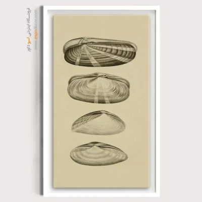 تابلو جانوران دریایی - اسپو دکور