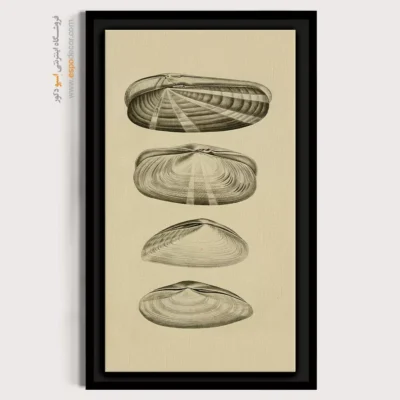 تابلو جانوران دریایی - اسپو دکور