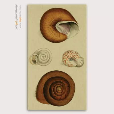 تابلو جانوران دریایی - اسپو دکور