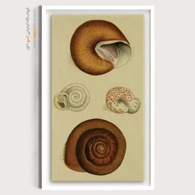 تابلو جانوران دریایی - اسپو دکور