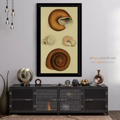 تابلو جانوران دریایی - اسپو دکور