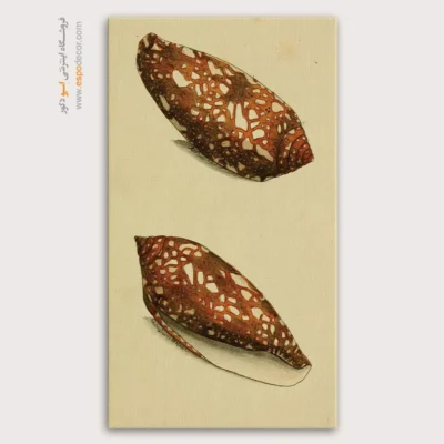 تابلو جانوران دریایی - اسپو دکور