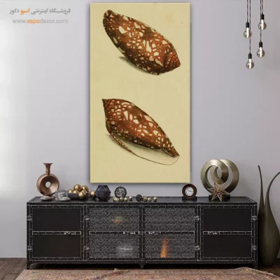 تابلو جانوران دریایی - اسپو دکور