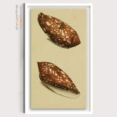 تابلو جانوران دریایی - اسپو دکور