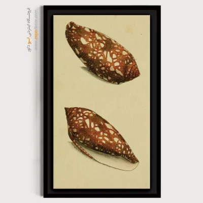 تابلو جانوران دریایی - اسپو دکور