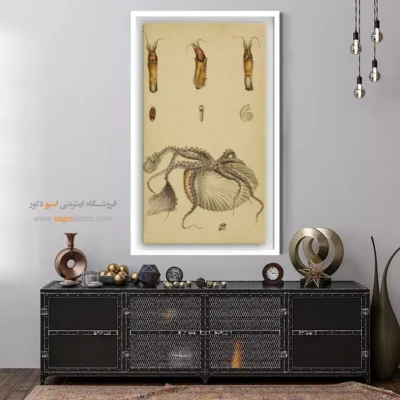 تابلو جانوران دریایی - اسپو دکور