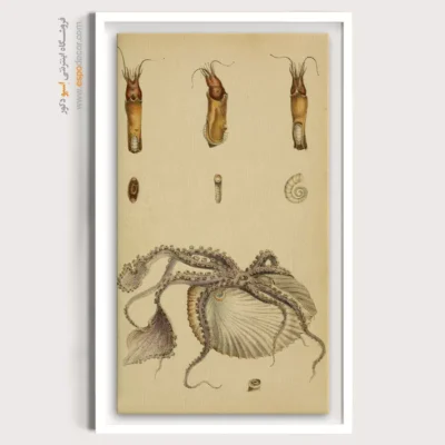 تابلو جانوران دریایی - اسپو دکور