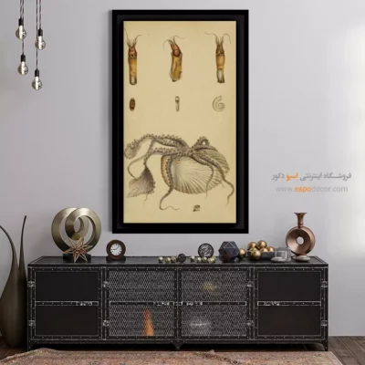 تابلو جانوران دریایی - اسپو دکور