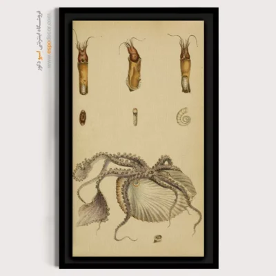 تابلو جانوران دریایی - اسپو دکور