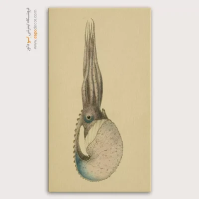 تابلو جانوران دریایی - اسپو دکور