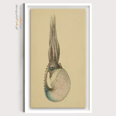 تابلو جانوران دریایی - اسپو دکور