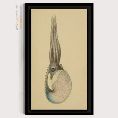 تابلو جانوران دریایی - اسپو دکور